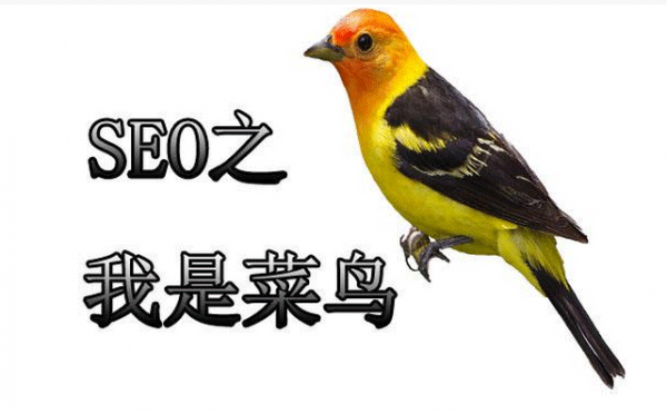 网站域名会影响seo优化吗?(图1) 17050915142392154