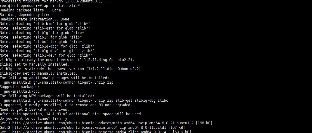 Ubuntu18.04如何更新openssl版本? ubuntu升级openssl的教程(图5)