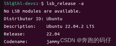 Ubuntu20.04升级到Ubuntu 22.04的图文教程(图7)