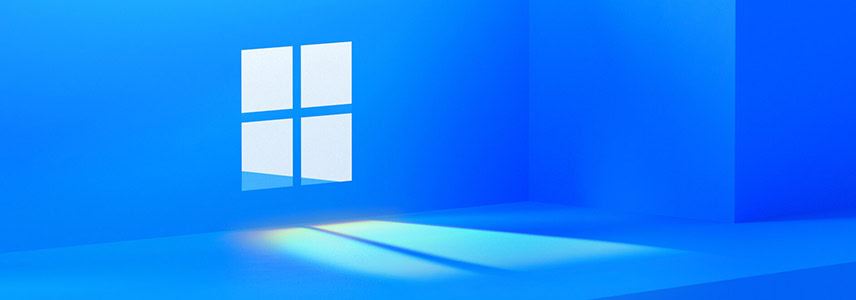 windows11选择哪个版本? Win11家庭版与专业版深度对比(图1)