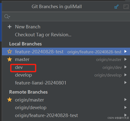 Idea中的git命令使用详解(包括现象含义)(图8)