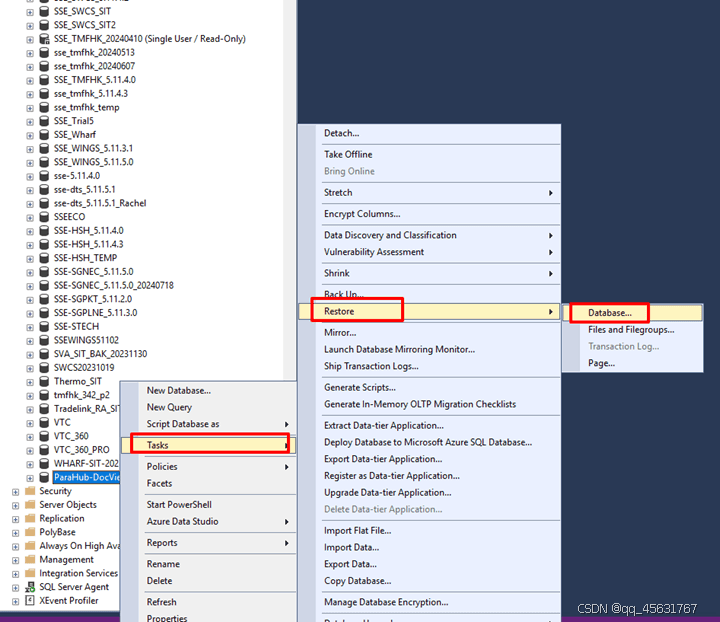 SQL Server数据库的备份和还原保姆级教程(图17)