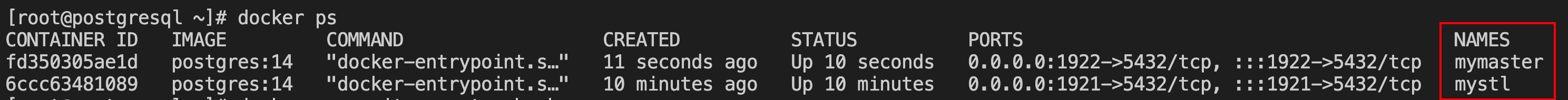 在docker上部署postgreSQL主从的超详细步骤(图4)