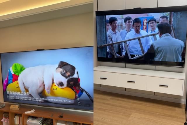 3299的华为Vision智慧屏65对比2999的智慧屏65 SE3谁更值得买?(图3)