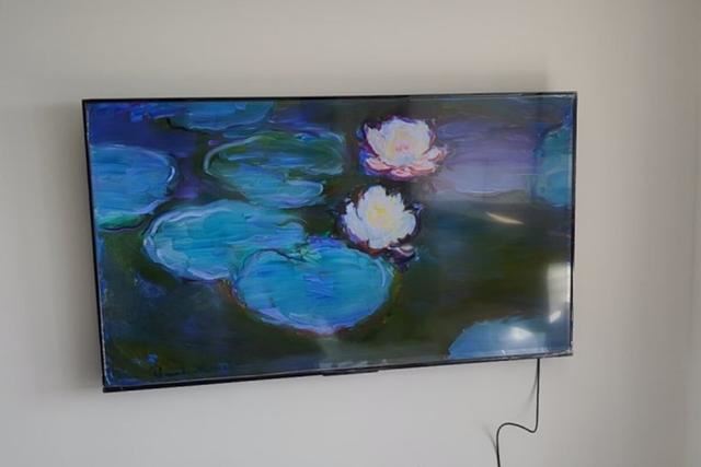 3299的华为Vision智慧屏65对比2999的智慧屏65 SE3谁更值得买?(图7)