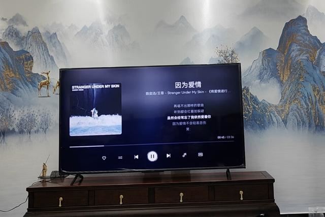 3299的华为Vision智慧屏65对比2999的智慧屏65 SE3谁更值得买?(图6)