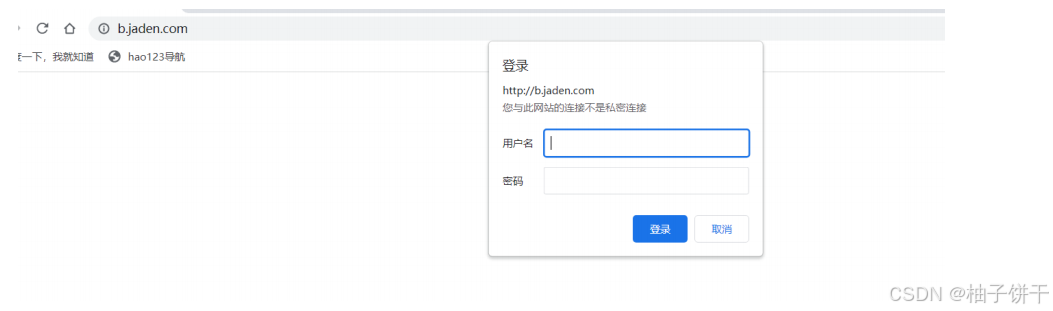 nginx basic认证的实现示例(图4)