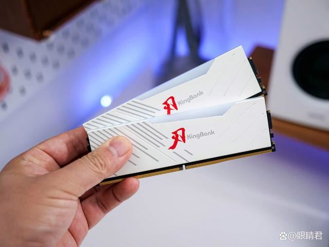 极致稳定与性能的双重盛宴! 金百达白刃DDR5 6000 C28内存测评(图3)