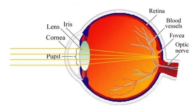 谁是客厅投影仪天花板? 极米RS10 Plus和当贝X5S Pro对比测评(图6)