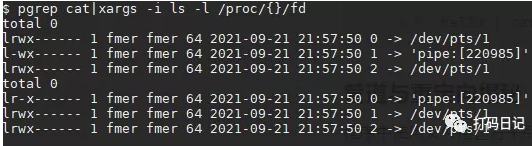 Linux命令基础使用(图5)