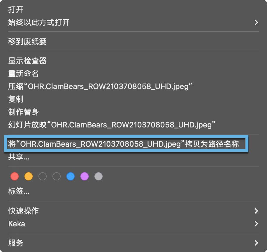 mac系统怎样复制文件路径? 快速复制macOS文件路径的四种方法(图3)