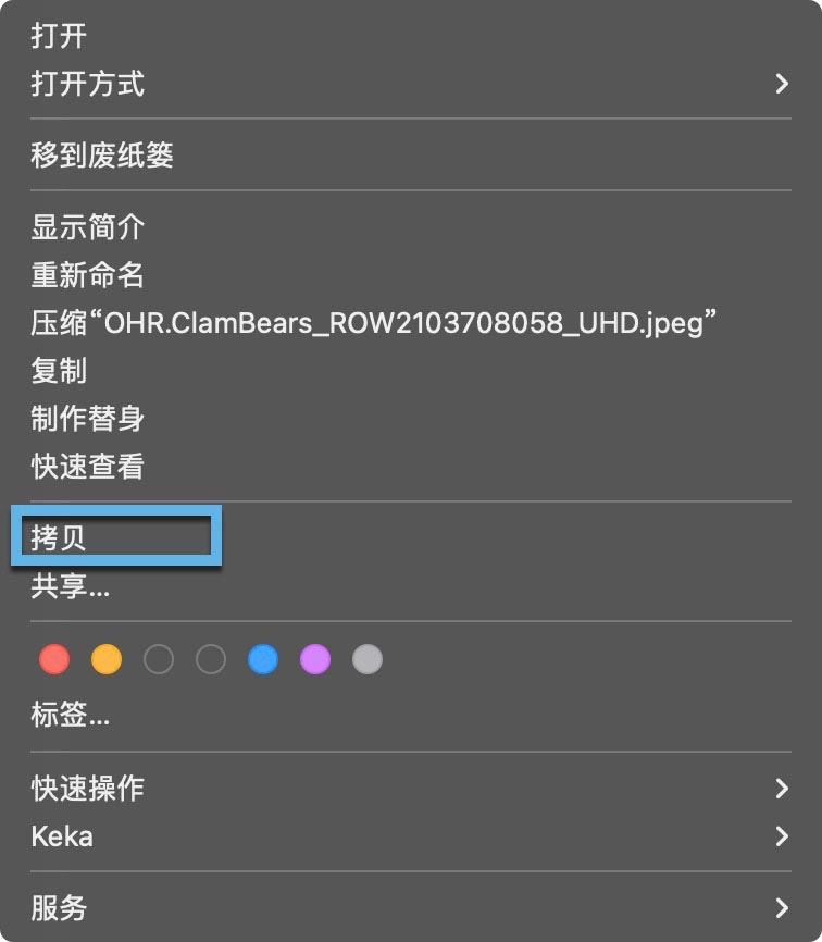 mac系统怎样复制文件路径? 快速复制macOS文件路径的四种方法(图2)
