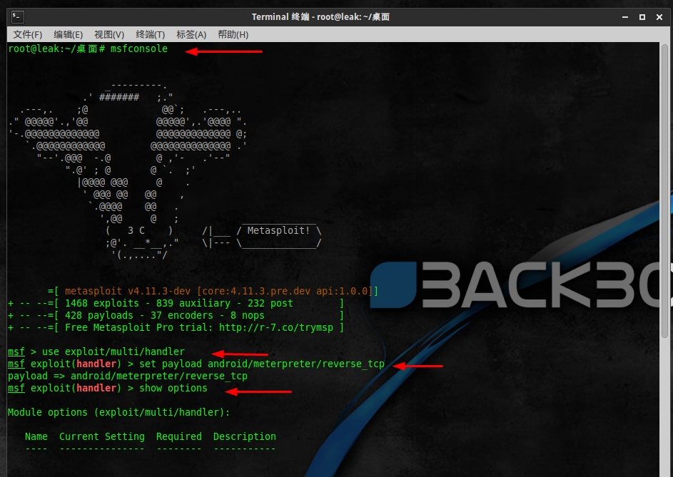 MSF入侵安卓手机 MSF又是什么(图3)