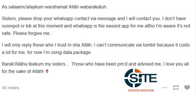 哪些通讯APP是安全加密的 ISIS都在使用哪些通讯APP(图3) 24.jpg
