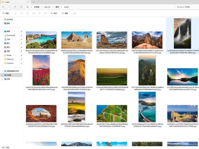 如何设置动态壁纸? Win11设置壁纸自动更换的教程(图8)