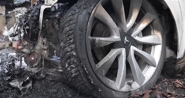 场面失控！成排特斯拉在美遭纵火烧毁