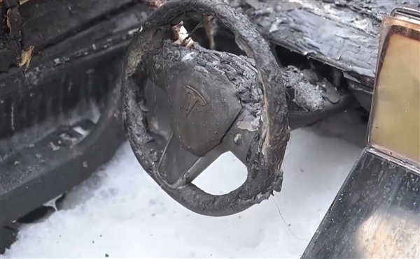 场面失控！成排特斯拉在美遭纵火烧毁