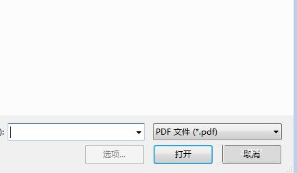 如何在PDF页面右侧显示内容?(图3)
