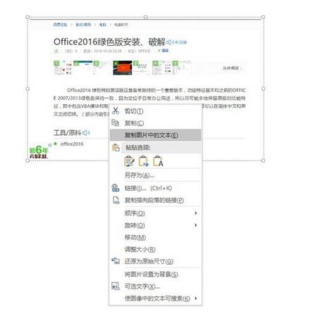 OneNote怎么快速提取图片中的文字?(图4)