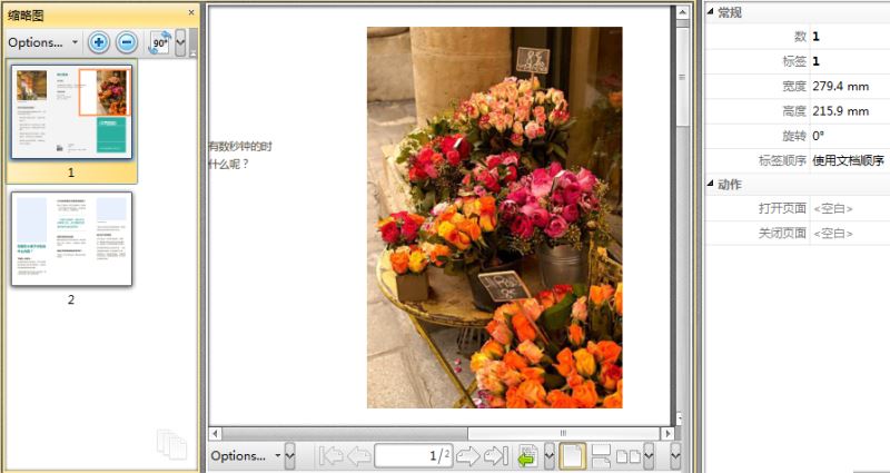 PDF编辑器中对显示页面的分割方法(图4)