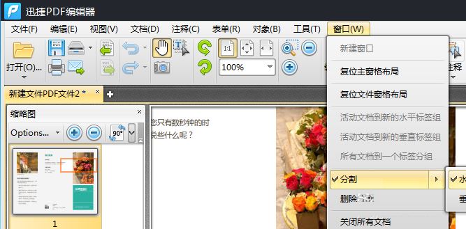PDF编辑器中对显示页面的分割方法(图5)