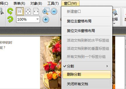 PDF编辑器中对显示页面的分割方法(图7)