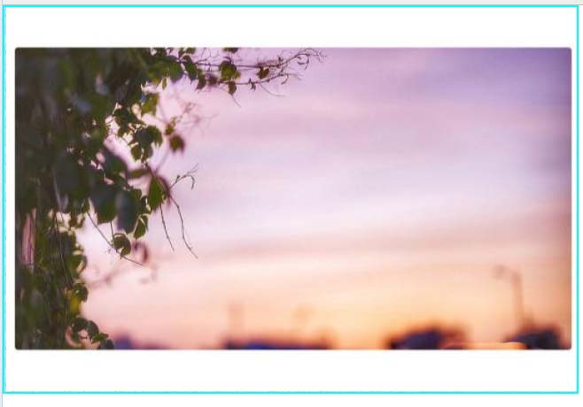 FineReport怎么插入图片并设置展示?(图1)