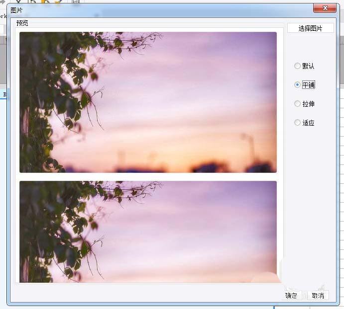 FineReport怎么插入图片并设置展示?(图4)