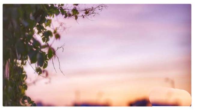 FineReport怎么插入图片并设置展示?(图6)