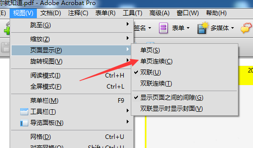 Acrobat中pdf文件页面怎么双联显示?(图7)
