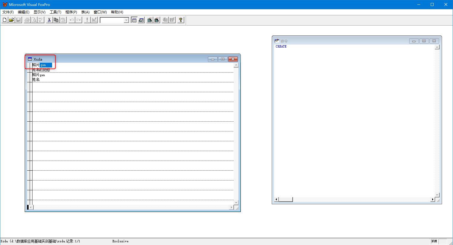 vf6.0怎么给自由表添加照片? vf6.0导入照片的技巧(图6)