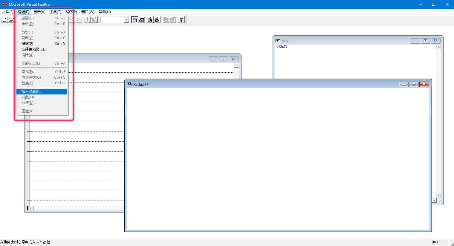 vf6.0怎么给自由表添加照片? vf6.0导入照片的技巧(图7)