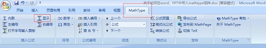 MathType选项