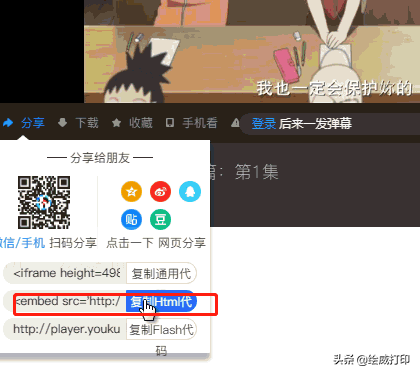 网络视频不用下载,用这个方法导入word文档直接播放(图4)