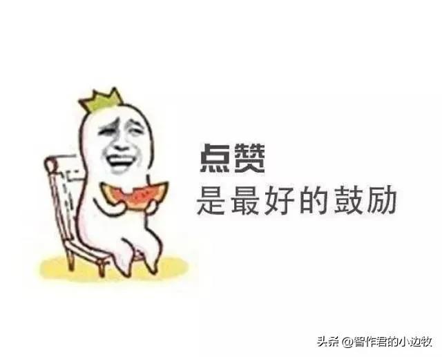 word文档转pdf怎么转?(图11)