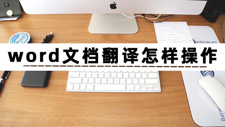 如何翻译word文档?三个方法教会你word文档翻译怎样操作(图2)