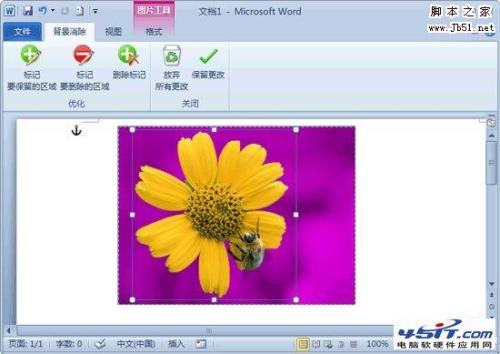Word2010如何删除图片背景(图2) Word2010如何删除图片背景