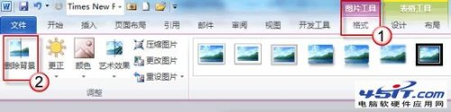 Word2010如何删除图片背景(图1) Word2010如何删除图片背景