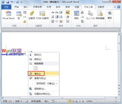 Word2010中单选框怎样制作