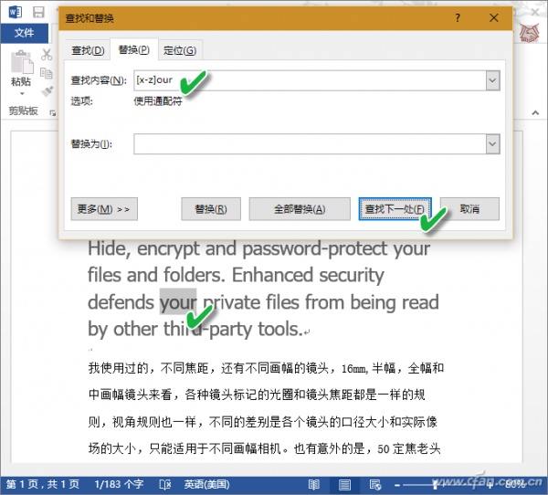 Word通配符使用技巧汇总