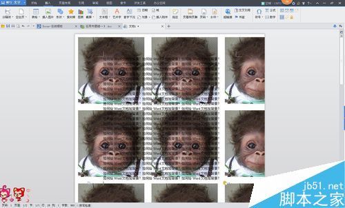Word如何改变背景图片