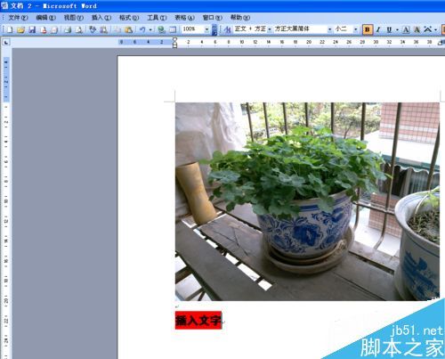word文档怎么在图片上写字?(图4) word文档怎么在图片上写字?