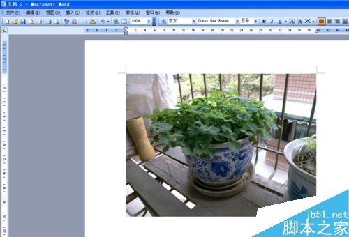 word文档怎么在图片上写字?(图3) word文档怎么在图片上写字?