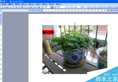 word文档怎么在图片上写字?(图6) word文档怎么在图片上写字?