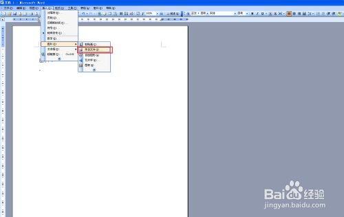 Auto CAD2007将图形导入word中