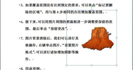用Word 2010怎么抠图?