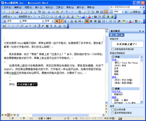 Word文档中的文字格式(图1) Word文档中的文字格式