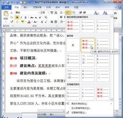 Word2010:定义编号格式的秘技