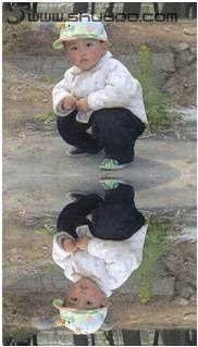 用Word 2007实现图片倒影效果