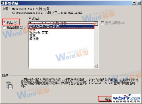 怎么把Word的内容以图片格式插入到Excel2010中? 1